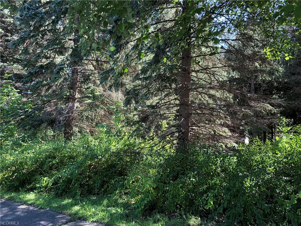 528 School St - Photo 1