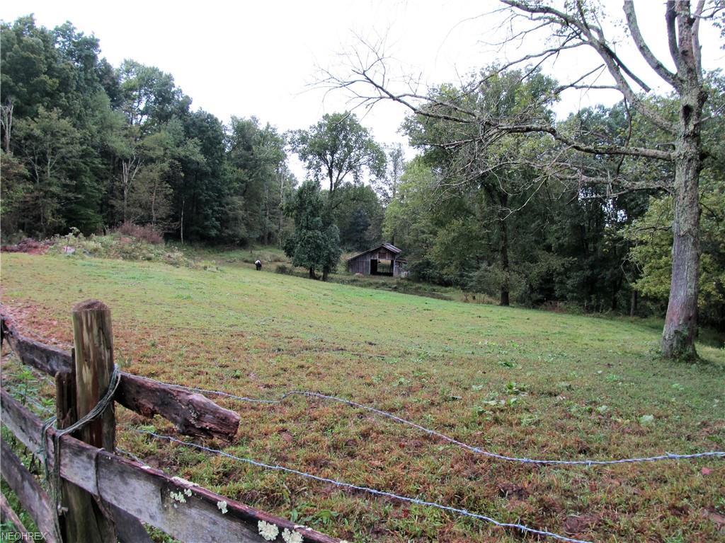 001 Gooseneck Run Rd - Photo 1