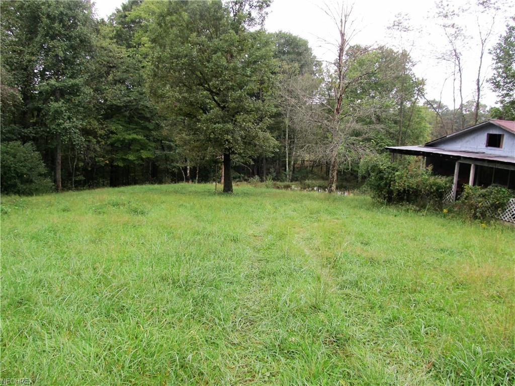 002 Gooseneck Run Rd - Photo 1