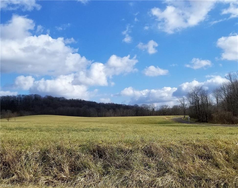 V/L 1 Moine Rd - Photo 1