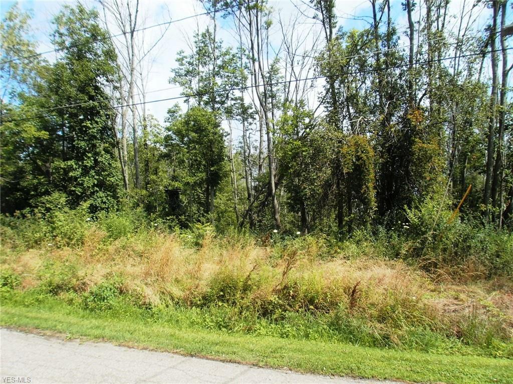 Windsor Drive - Photo 1