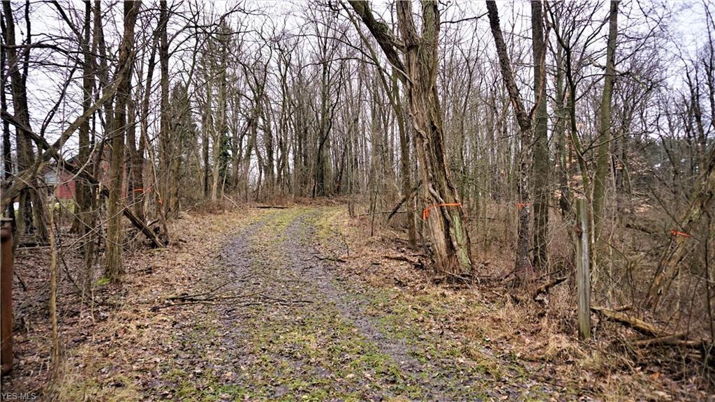 Haas Rd - Photo 1