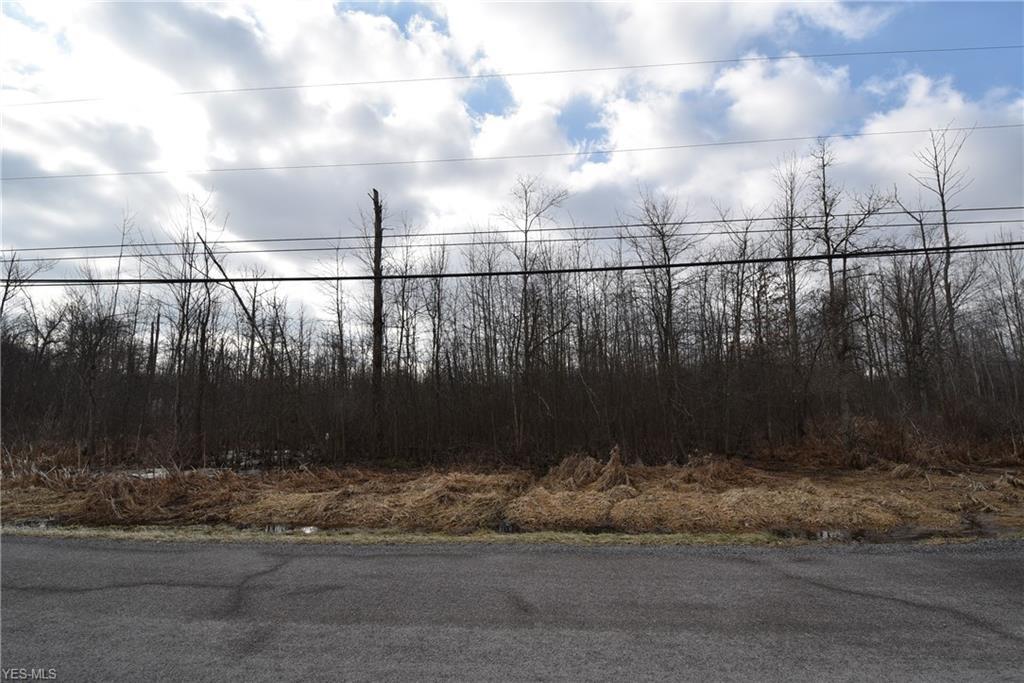 0 Prentice Road - Photo 1