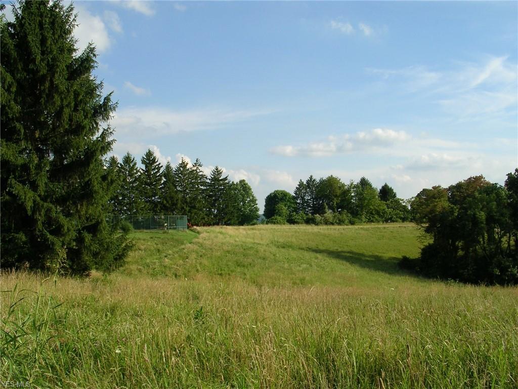 4901 Spruce Rise Road - Photo 1