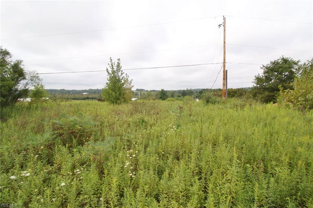 Frazeysburg & Jones Road - Photo 1