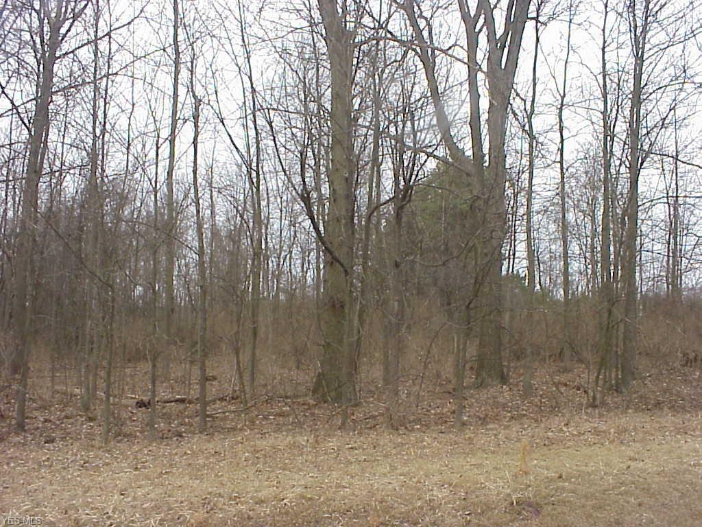 Brushwood Road - Photo 1