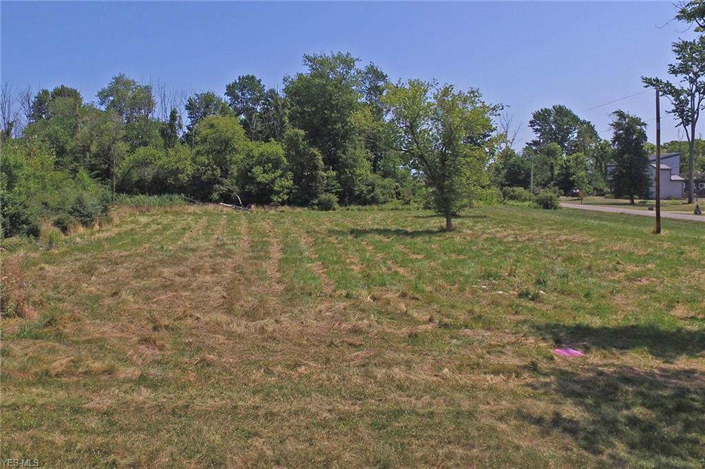 Pheasant Cove - Photo 1