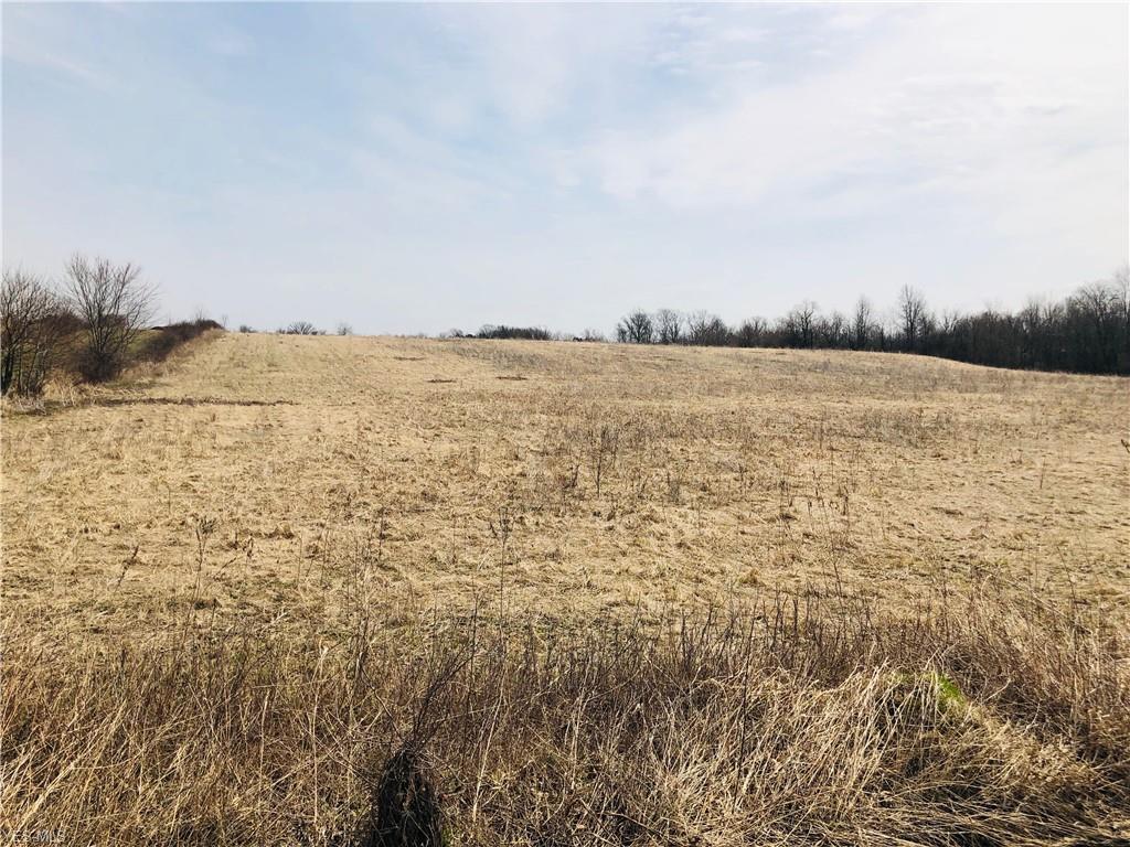 Beloit Snodes Road - Photo 1