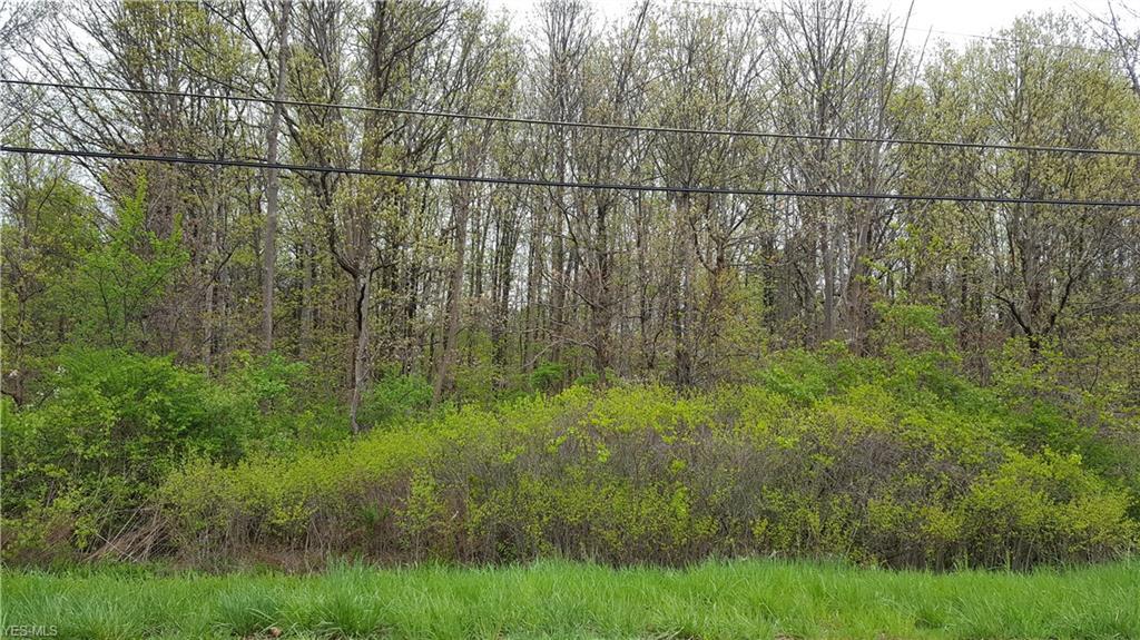3749 #5 River Road - Photo 1