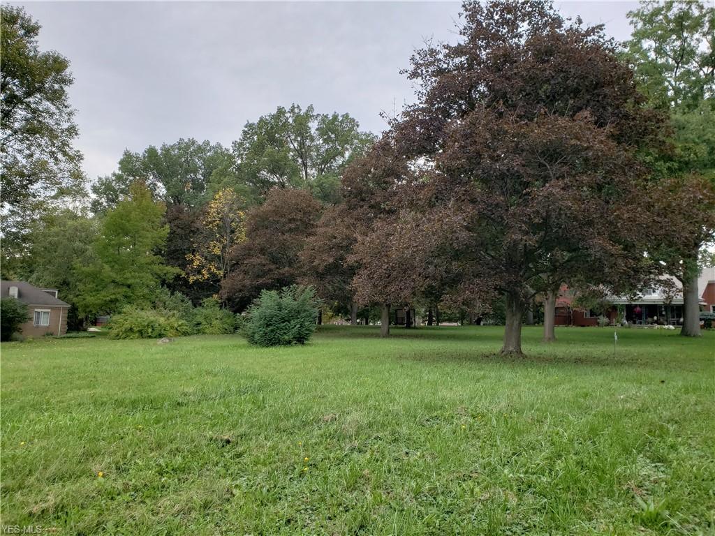 Cedar Street - Photo 1