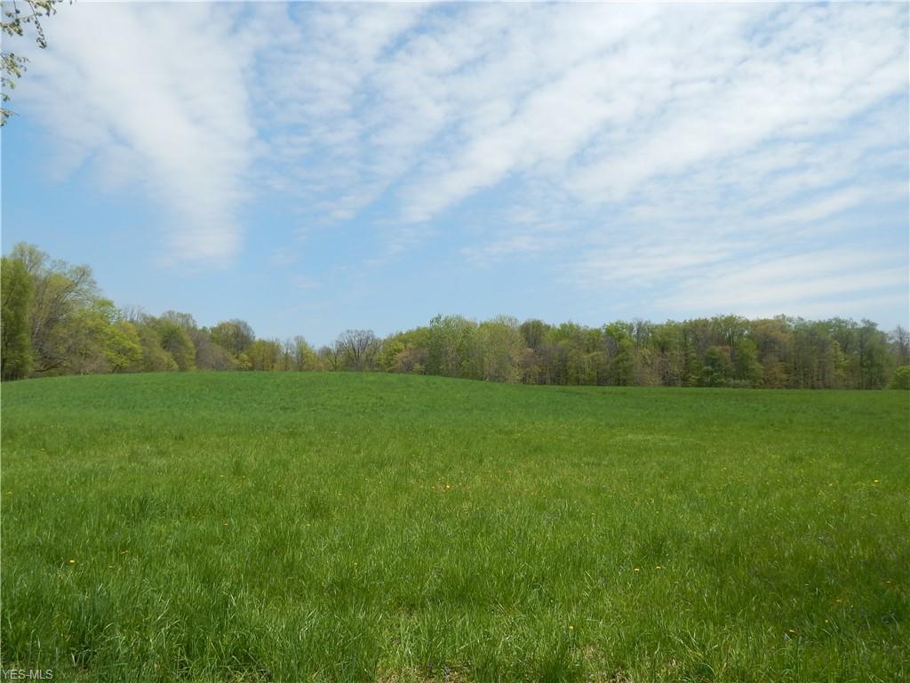 687 County Road 620 - Photo 1