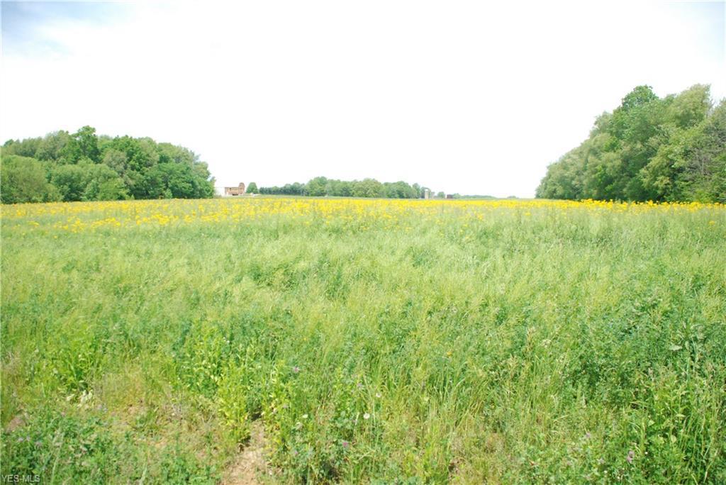 Huprick Road - Photo 1
