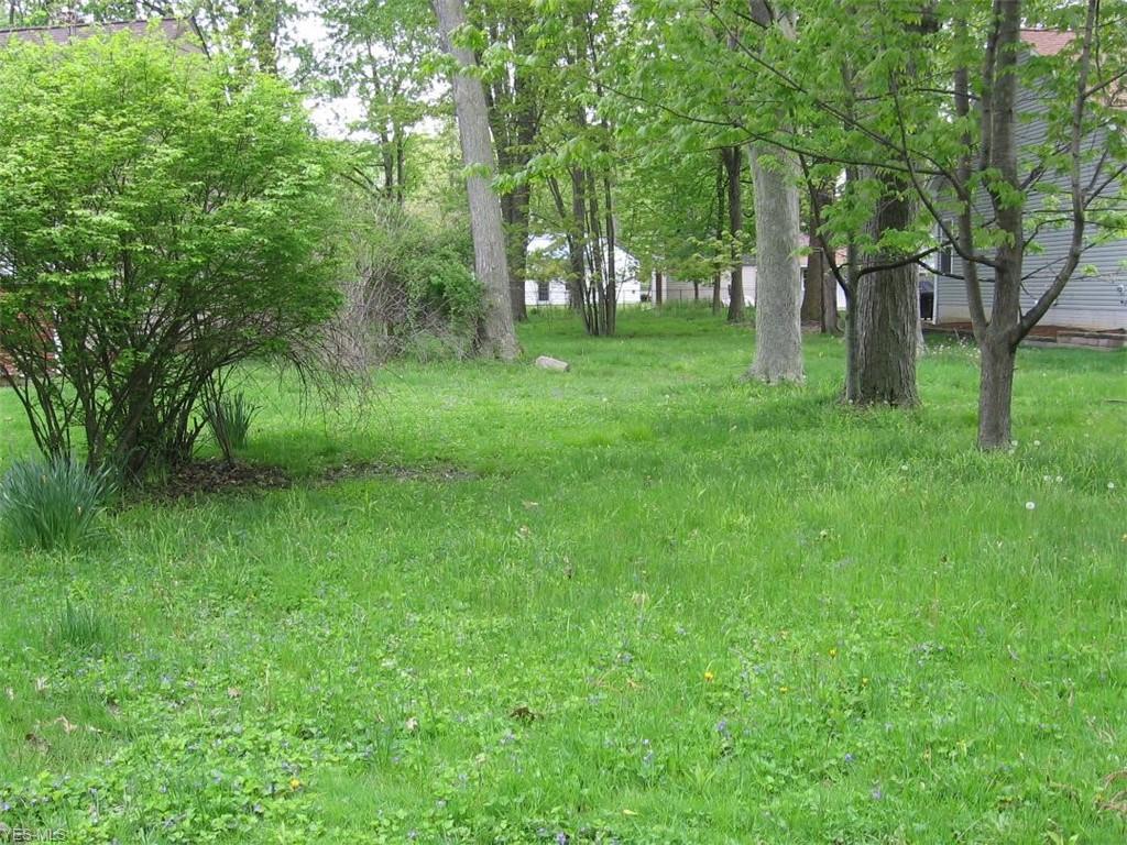 VL 7 Shawondassee Drive - Photo 1