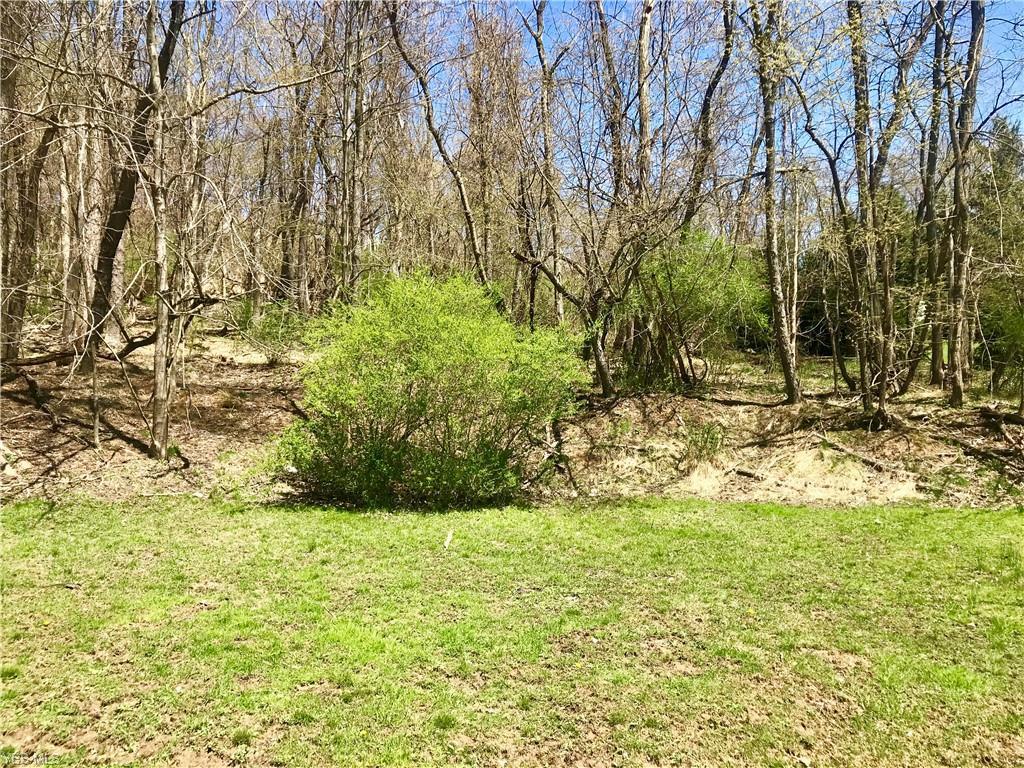 Putnam Lane - Photo 1