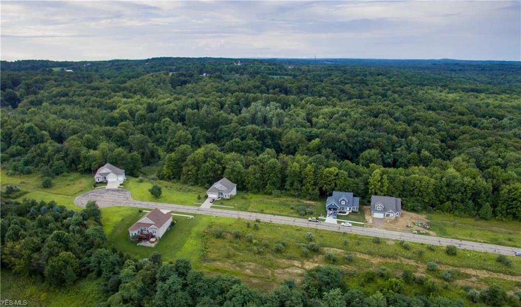 Lot #13 7000 Village Way Drive - Photo 1
