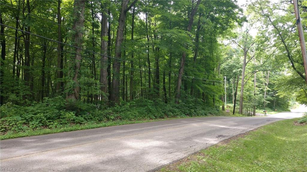 Heyl Road - Photo 1