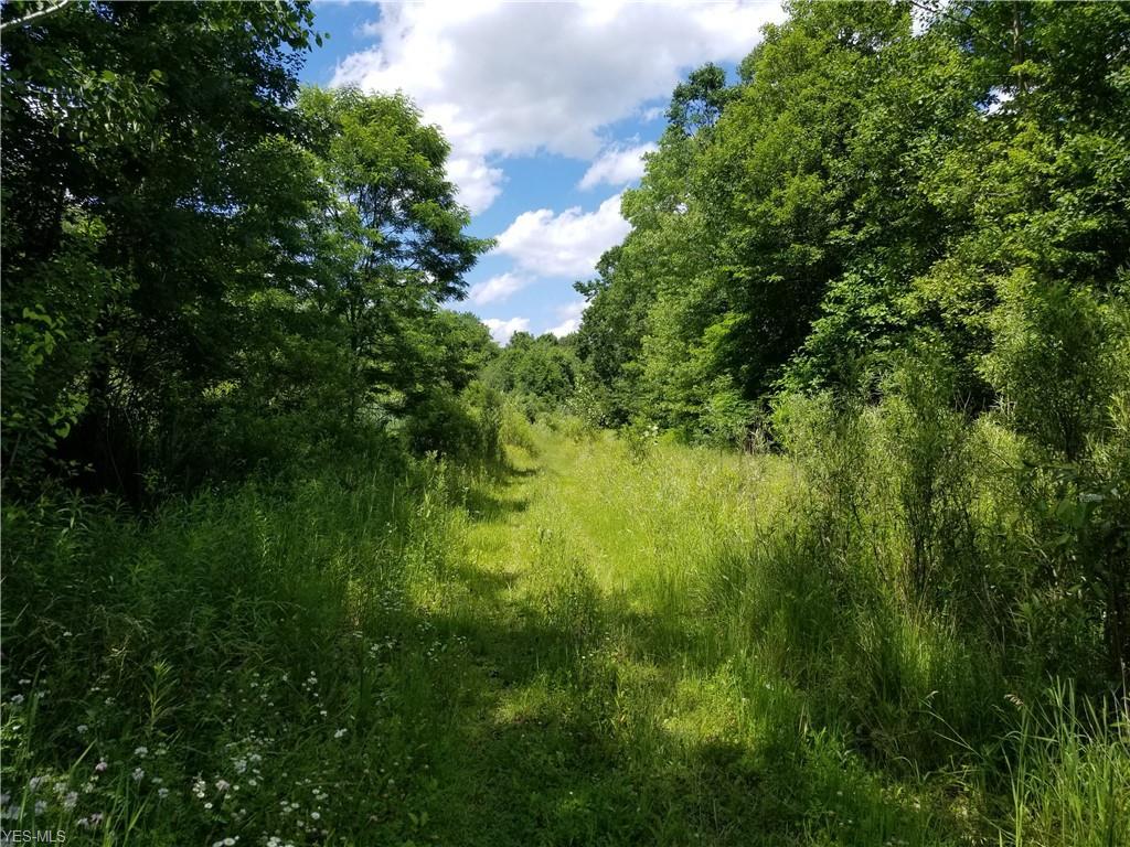 Powder Mill Run - Photo 1