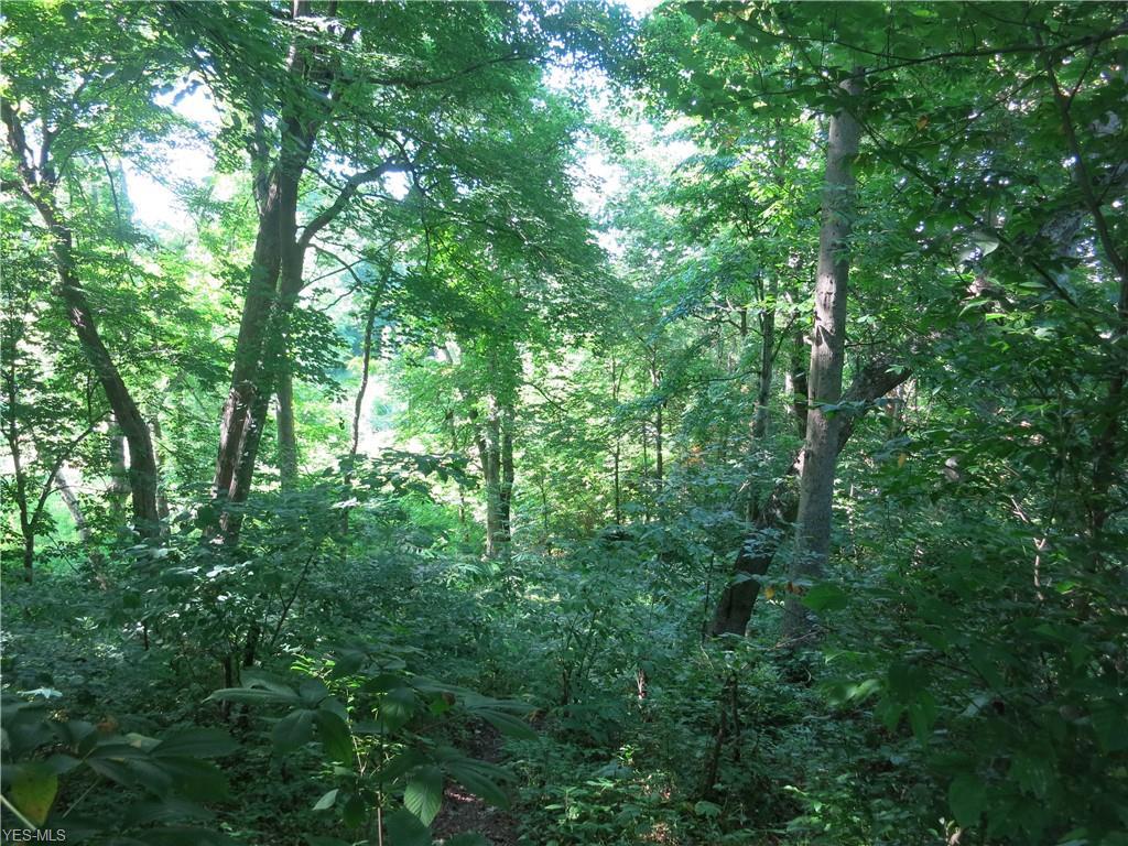 463 Awesome Valley Drive - Photo 1