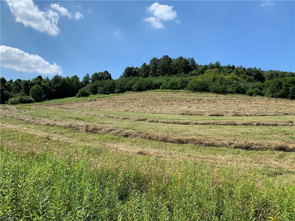 9185 Tunnel Hill Road - Photo 1