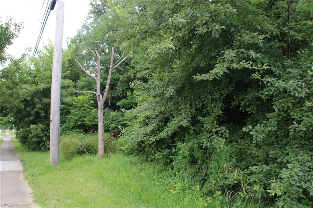 SL 107 Hadden Road - Photo 1