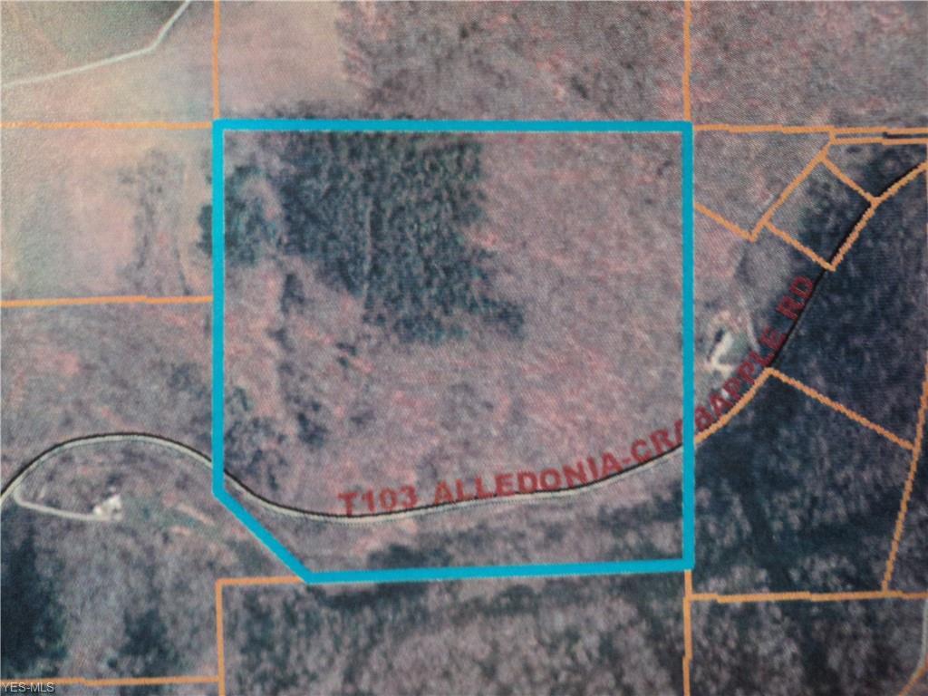 0 Allendonia Crabapple Road - Photo 1