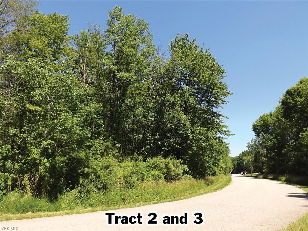 Colony Avenue - Photo 1