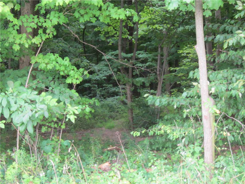 V/L Unger Road - Photo 1