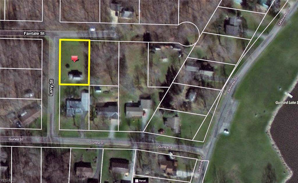 32253 Fantale Street - Photo 1