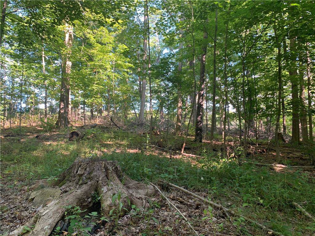 10785 Rockwood Drive - Photo 1