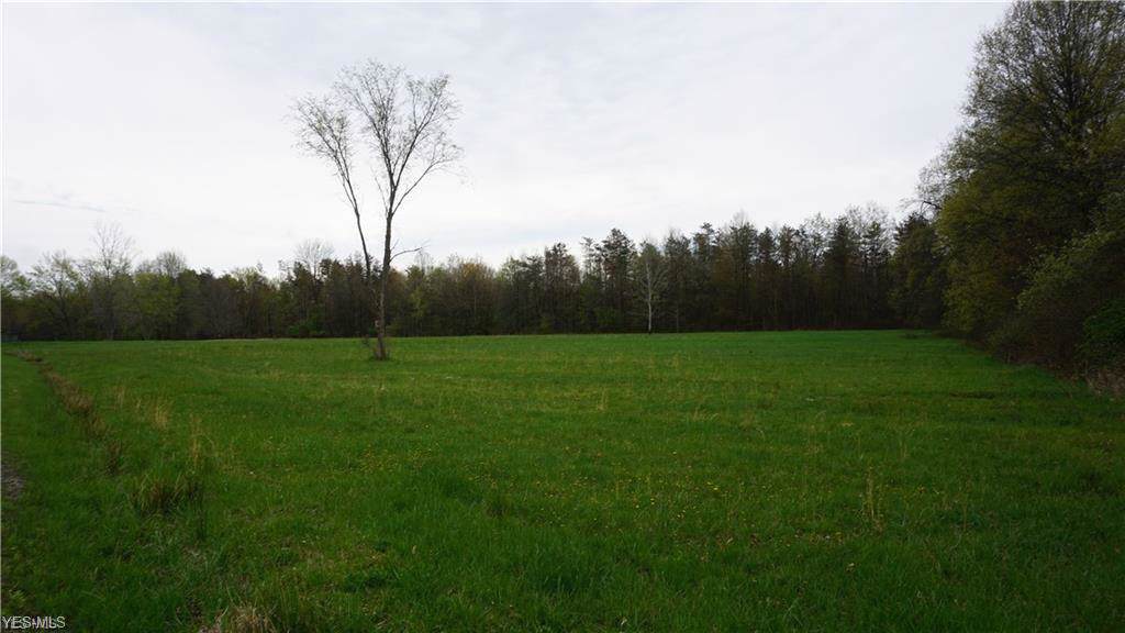 Lot 6 Benton West Road - Photo 1