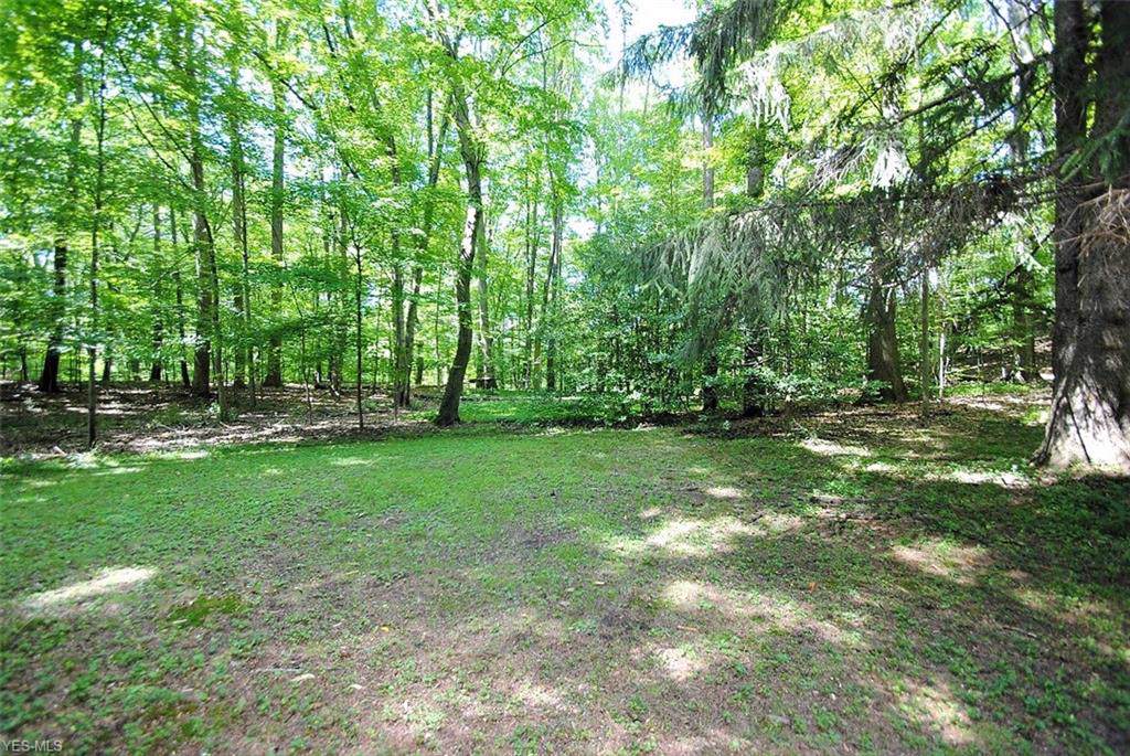 V/L Pine River Road - Photo 1