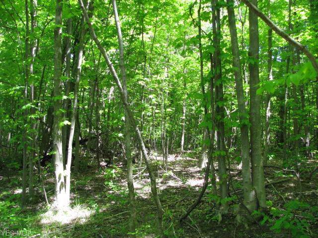 18 Flyfisher Way - Photo 1