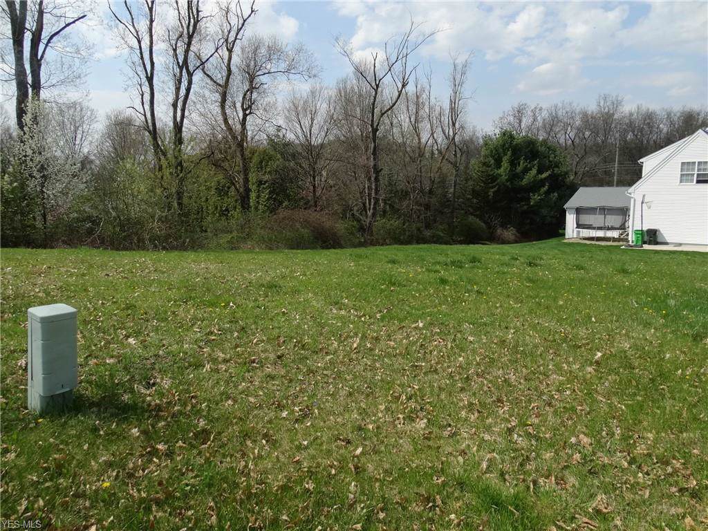 Lot10 Orchard Hill Circle - Photo 1