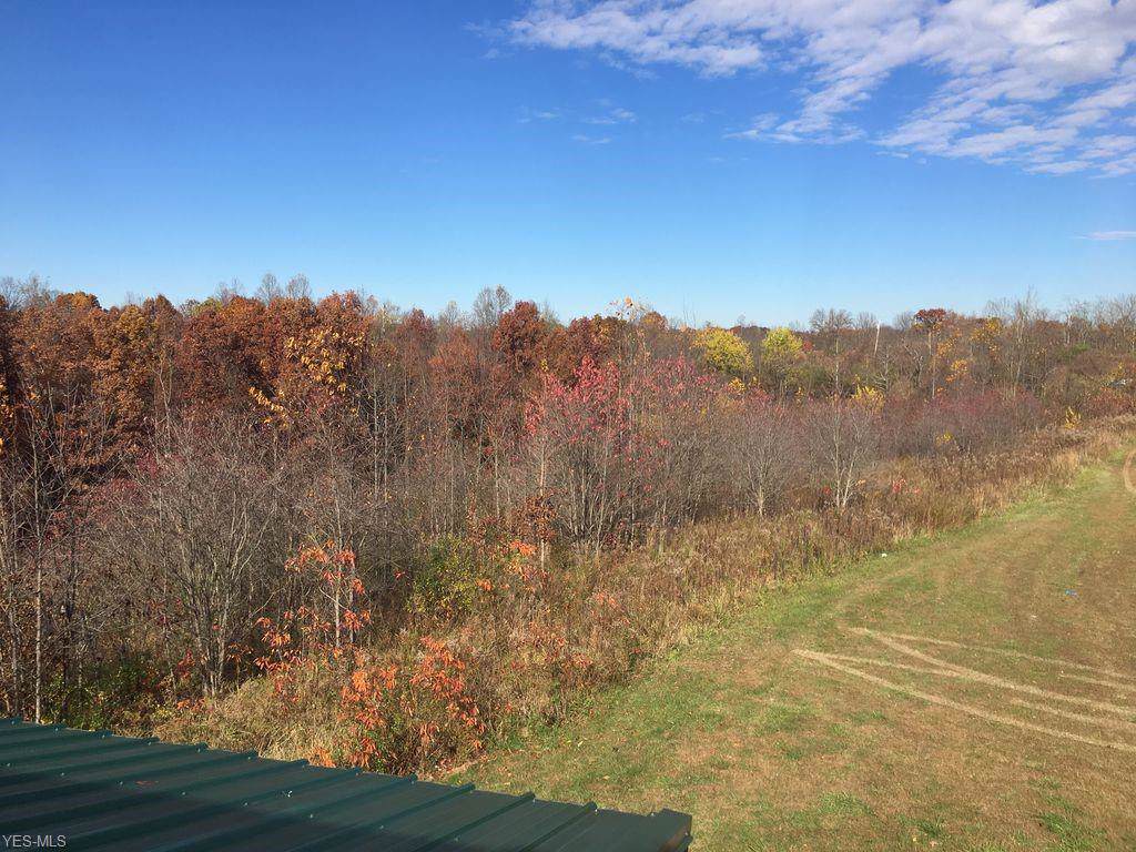 8532 Cupyk Road - Photo 1