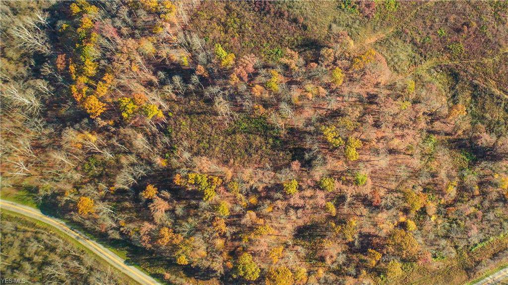 Jacksonville Road - Photo 1