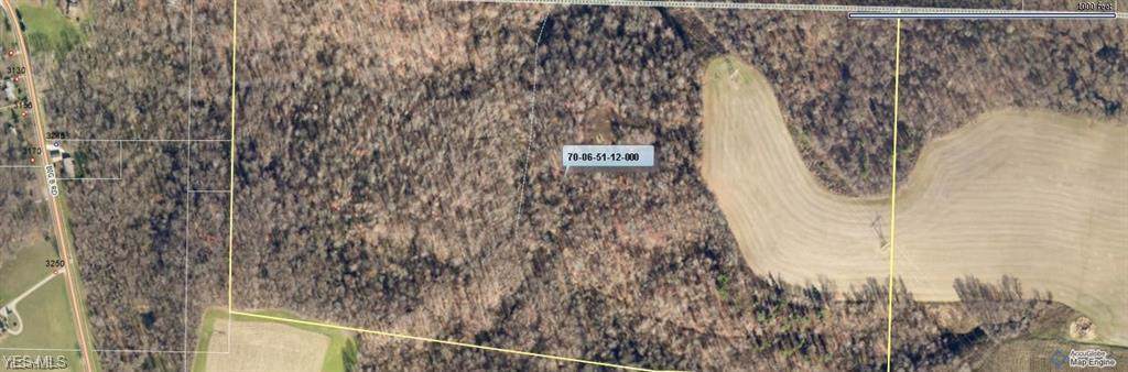 Adamsville Road - Photo 1