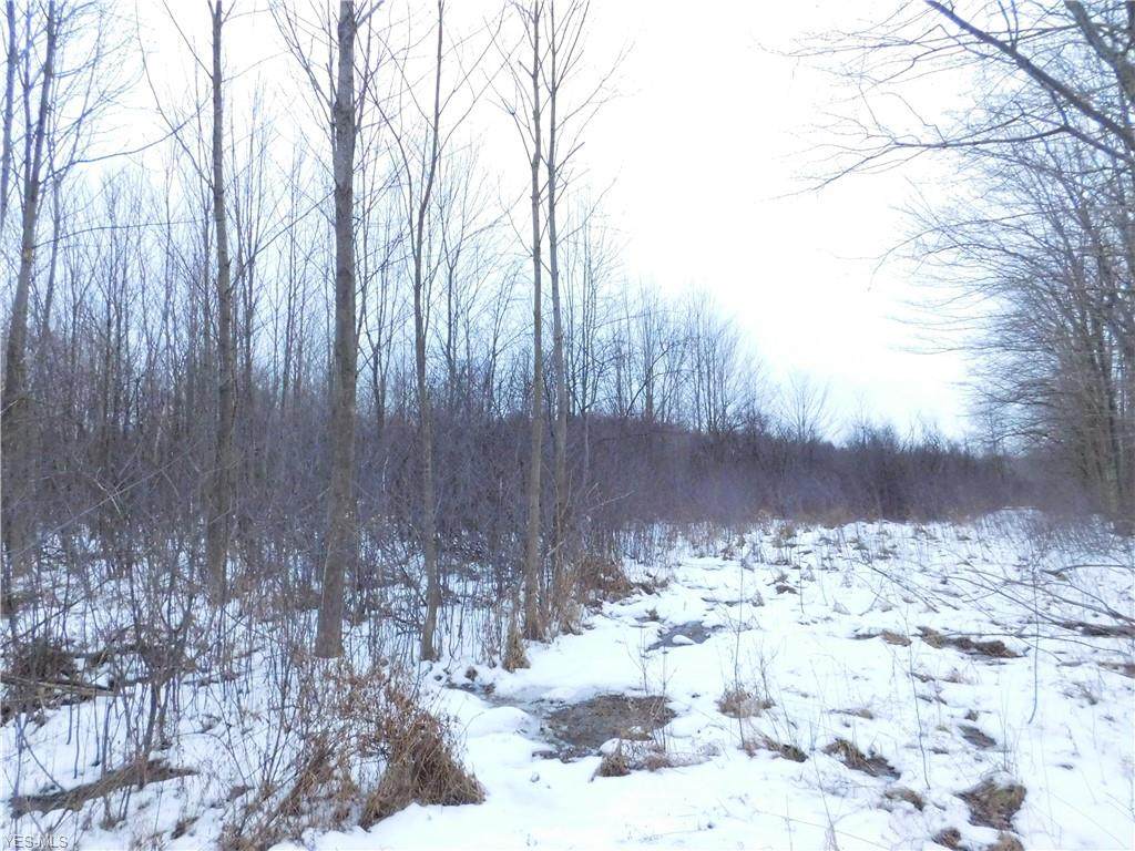 V/L Painesville Warren R Road - Photo 1