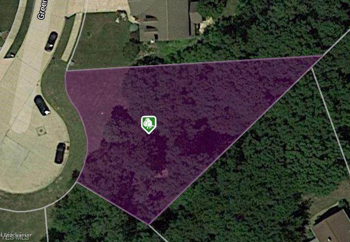 V/L Green Ridge Drive - Photo 1