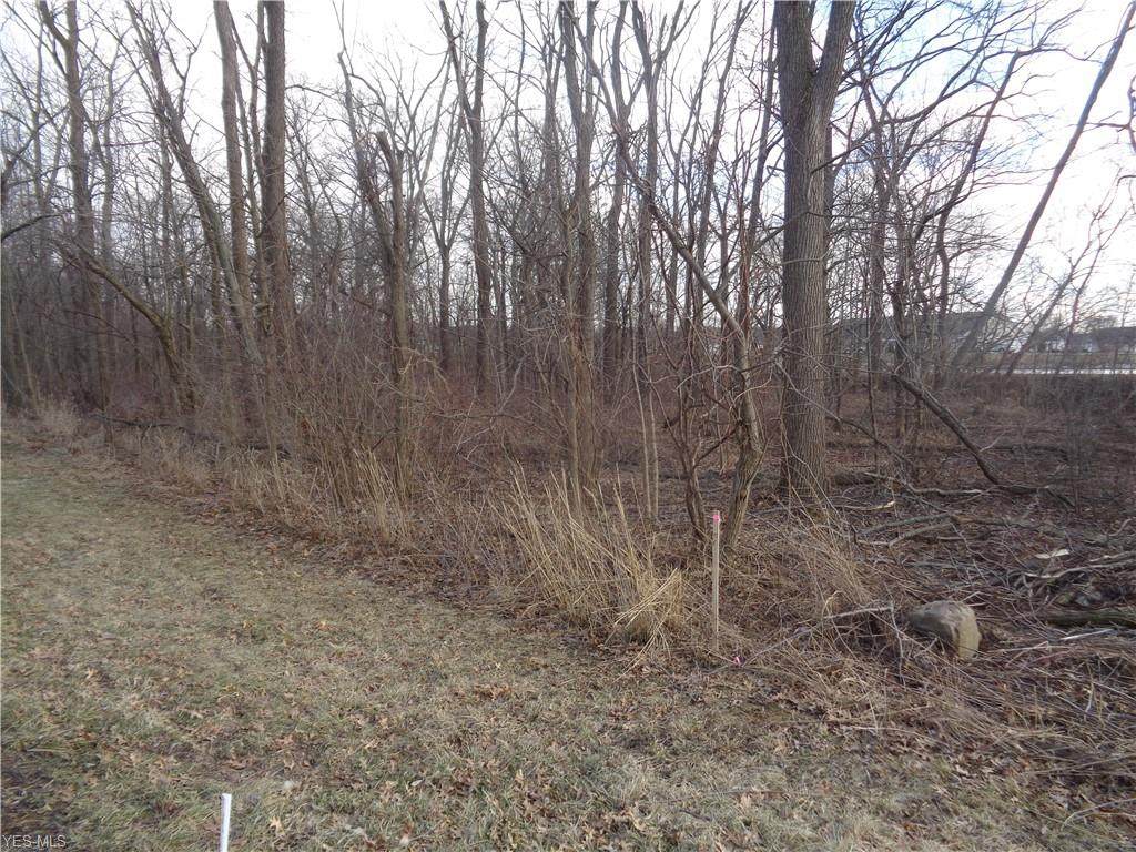Lot 3 Haber - Photo 1