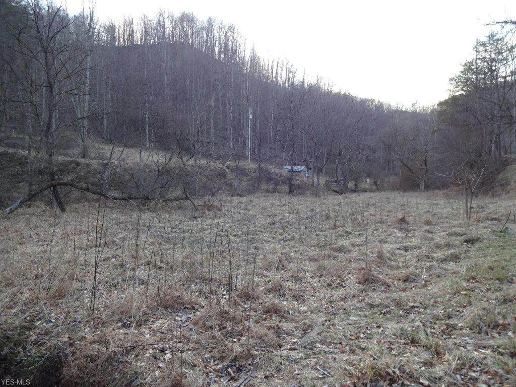 Little Leatherbark - Photo 1