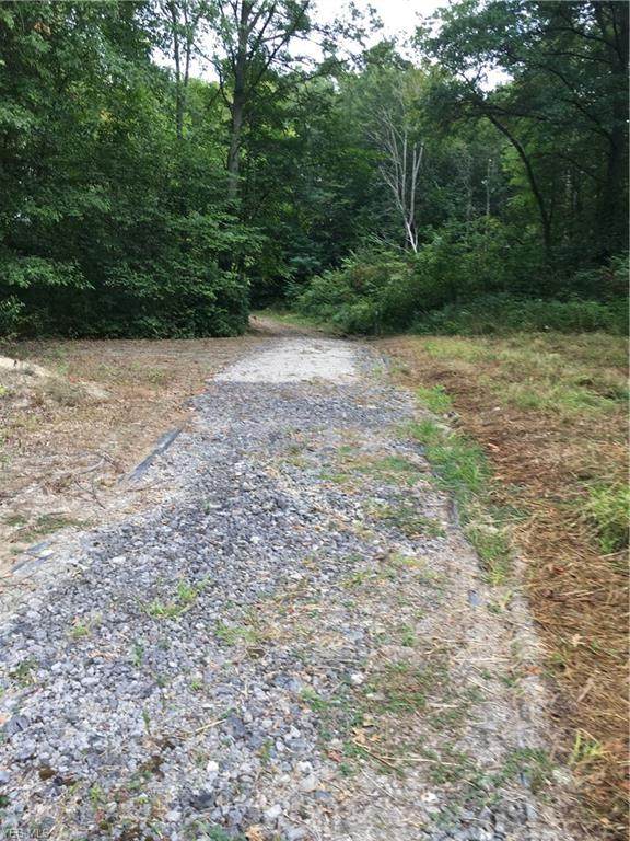 10008 Cable Line Road - Photo 1
