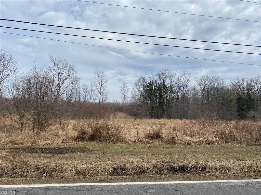 V/L Wood Road - Photo 1