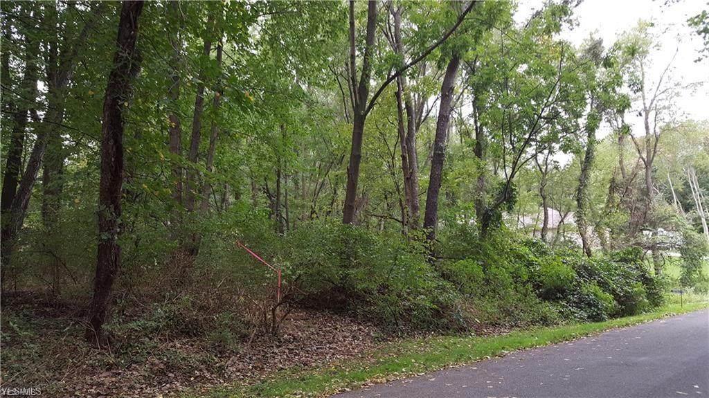 V/L Sheraton Drive - Photo 1