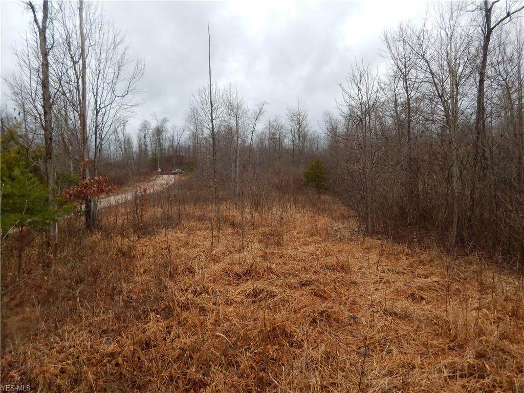 10 Tunnel Ridge Rd. - Photo 1