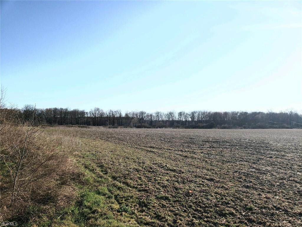 Slagle Road Road - Photo 1