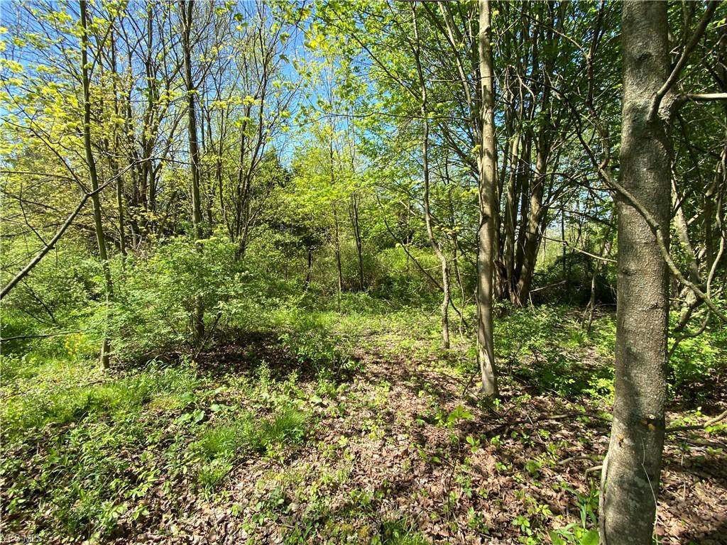 2135 Macklin Road - Photo 1