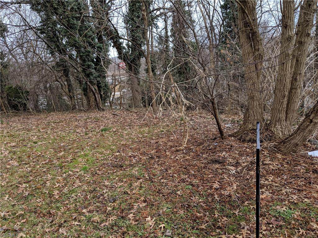 Bellfield Avenue - Photo 1