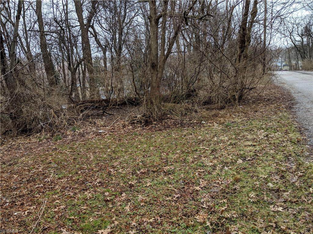 Bellfield Avenue - Photo 1