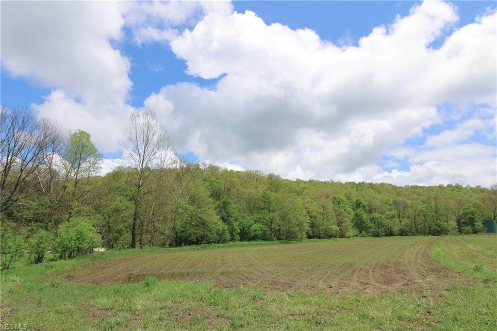 24358 State Rd 79 - Photo 1