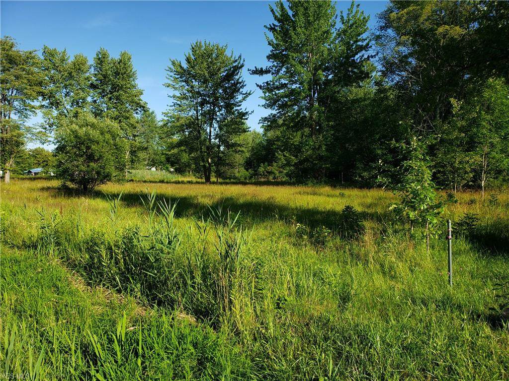 17761 Chardon Windsor Road - Photo 1
